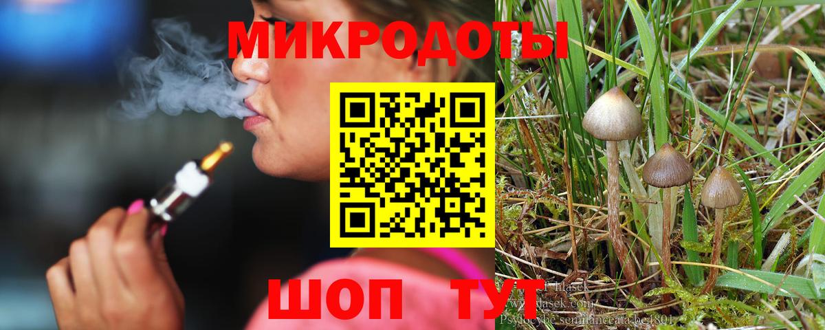 Псилоцибиновые грибы GOLDEN TEACHER  Вход с VPN  Дубна 