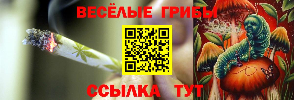 Псилоцибиновые грибы Psilocybine cubensis Дубна